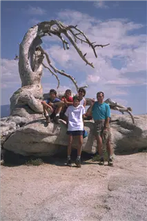 small_9708 4409 yosemiteIMG0010.webp